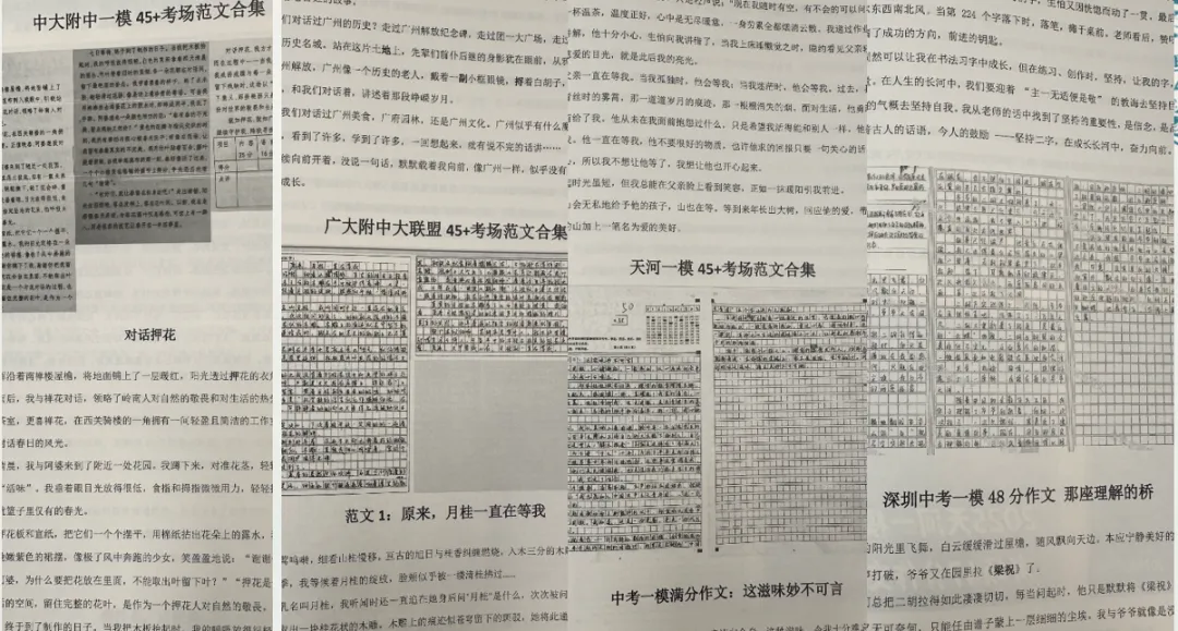 冲刺30天赢中考语文|中考读写冲刺营本周末开课 第2张 冲刺30天赢中考语文|中考读写冲刺营本周末开课 第2张