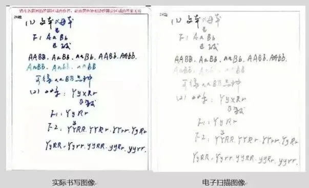 【中考必看】中考真正丢分的,从来都不是不会做,中考卷面规范,你必须掌握的“保分”策略 第10张
