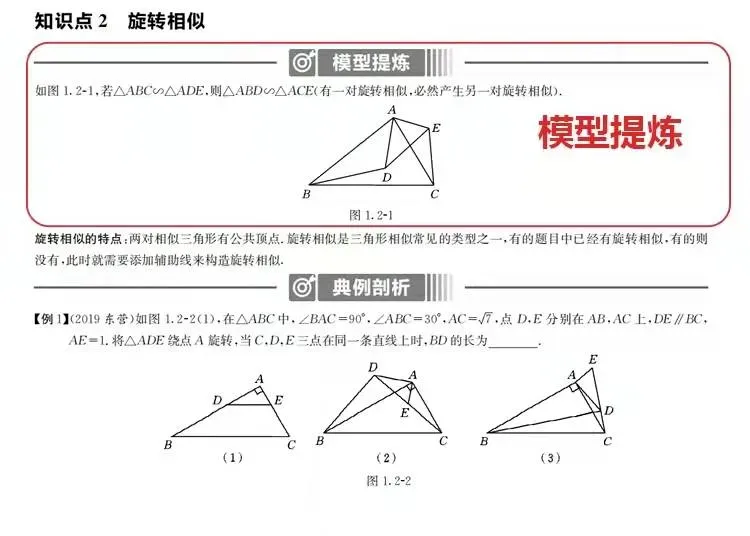 聚焦中考 | 掌握这些核心高频考点,想不考高分都难! 第6张