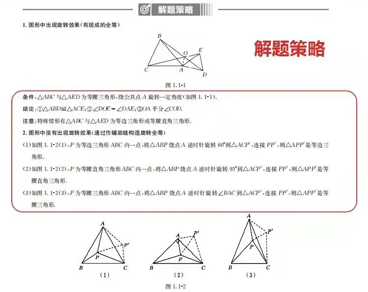 聚焦中考 | 掌握这些核心高频考点,想不考高分都难! 第7张