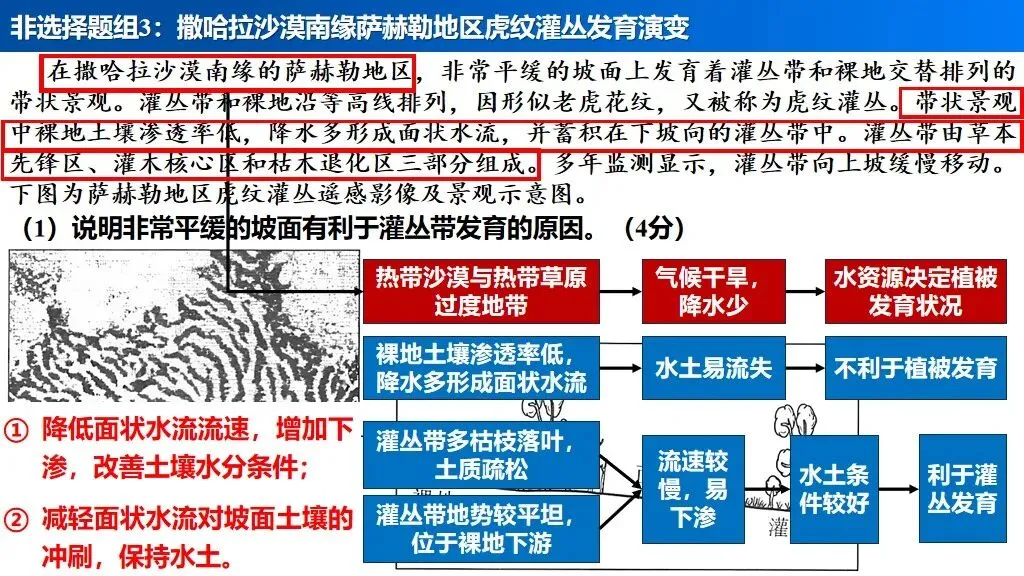 【真题解析34】2025年高考地理试题解析——河南卷(河南卷) 第50张 【真题解析34】2025年高考地理试题解析——河南卷(河南卷) 第50张
