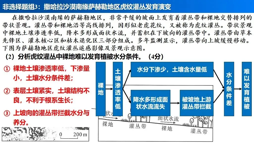 【真题解析34】2025年高考地理试题解析——河南卷(河南卷) 第51张 【真题解析34】2025年高考地理试题解析——河南卷(河南卷) 第51张