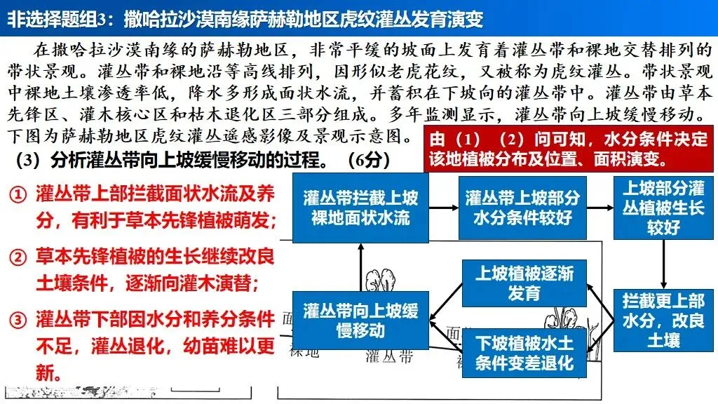 【真题解析34】2025年高考地理试题解析——河南卷(河南卷) 第52张 【真题解析34】2025年高考地理试题解析——河南卷(河南卷) 第52张