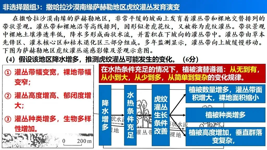 【真题解析34】2025年高考地理试题解析——河南卷(河南卷) 第53张 【真题解析34】2025年高考地理试题解析——河南卷(河南卷) 第53张
