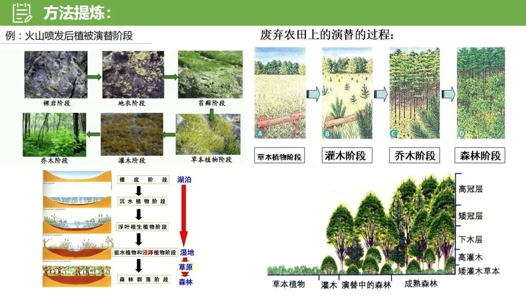 【真题解析34】2025年高考地理试题解析——河南卷(河南卷) 第54张 【真题解析34】2025年高考地理试题解析——河南卷(河南卷) 第54张