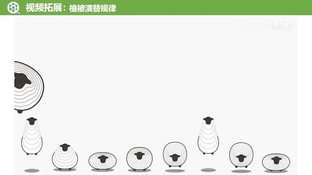 【真题解析34】2025年高考地理试题解析——河南卷(河南卷) 第55张 【真题解析34】2025年高考地理试题解析——河南卷(河南卷) 第55张