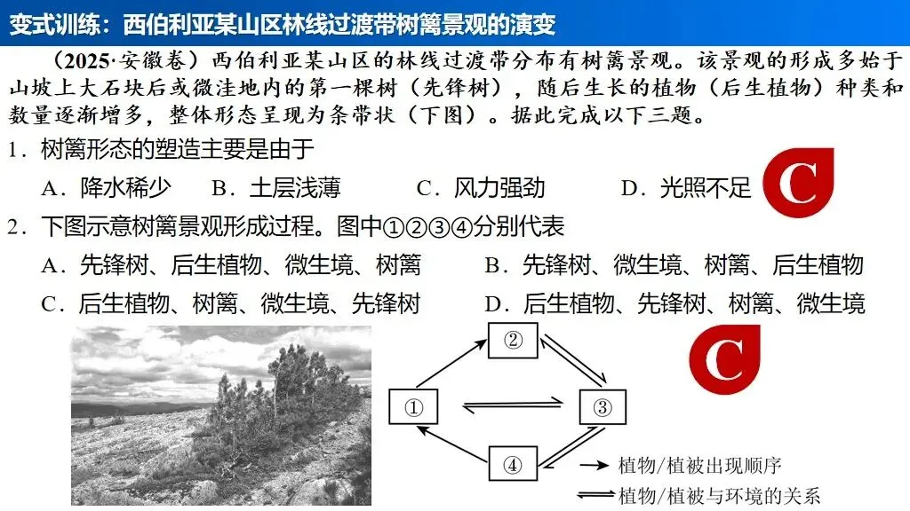 【真题解析34】2025年高考地理试题解析——河南卷(河南卷) 第56张 【真题解析34】2025年高考地理试题解析——河南卷(河南卷) 第56张