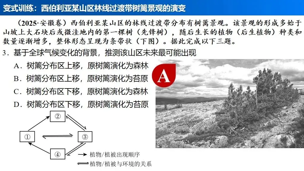 【真题解析34】2025年高考地理试题解析——河南卷(河南卷) 第57张 【真题解析34】2025年高考地理试题解析——河南卷(河南卷) 第57张