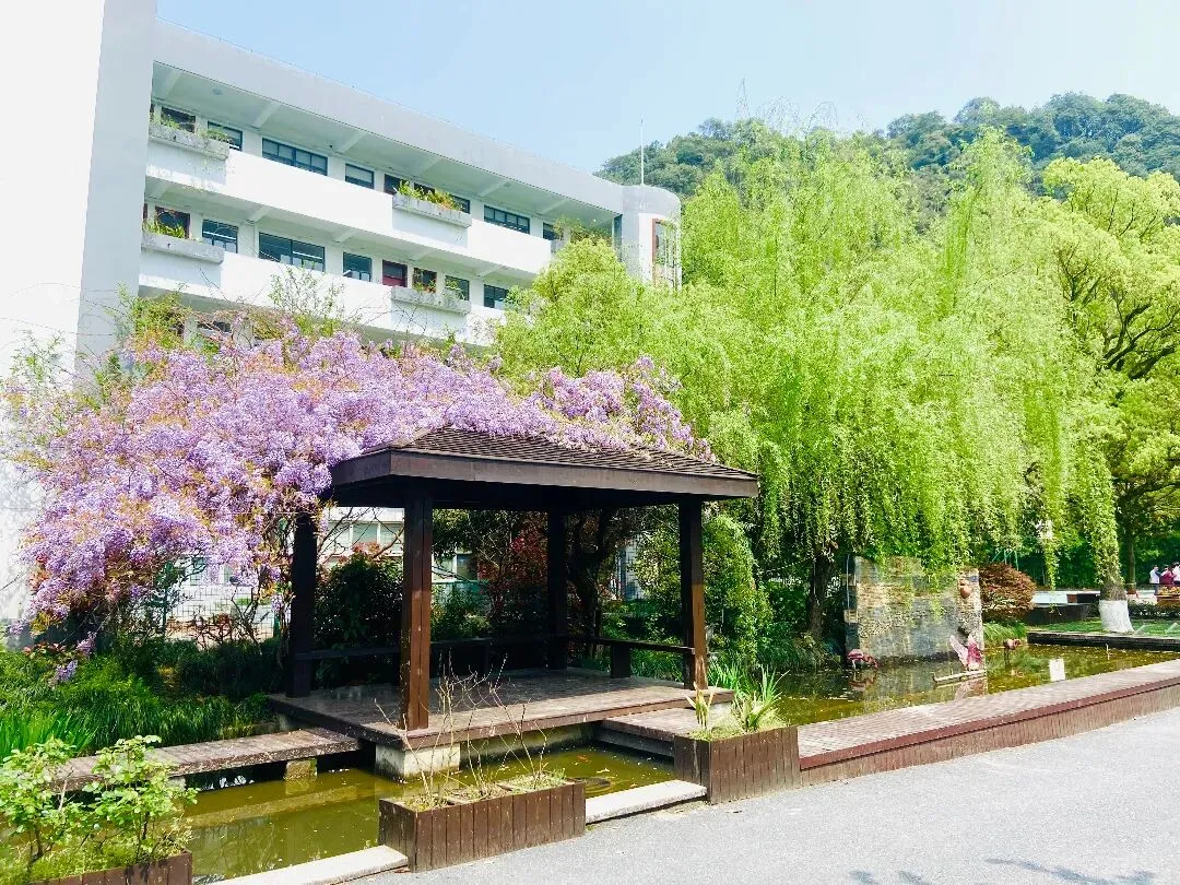 中考未达到优高线,三年后考入浙工大、温医大、中国美院……这所民办高中有何过人之处? 第15张