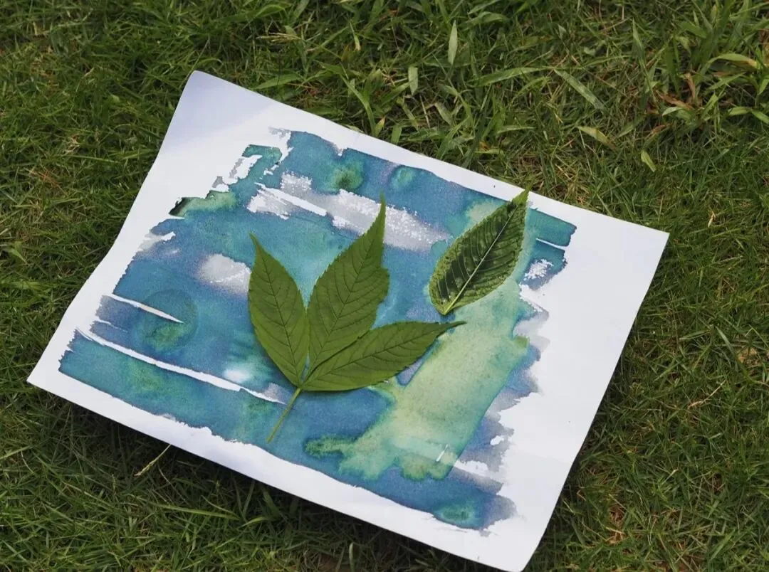 自然里的小满 | 比起满分试卷,满意的一生更值得追逐. 第5张