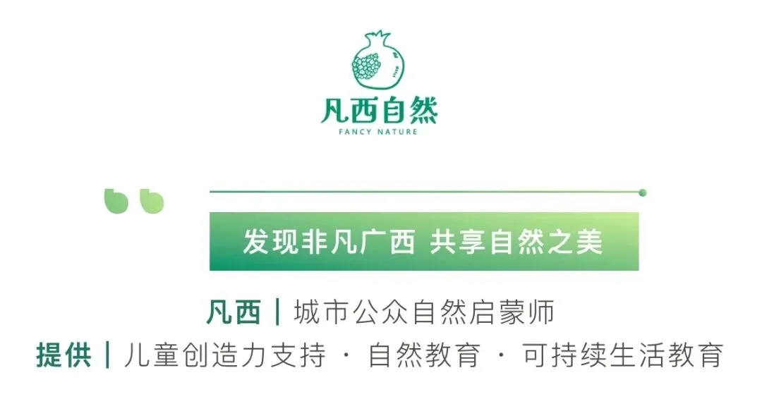自然里的小满 | 比起满分试卷,满意的一生更值得追逐. 第7张