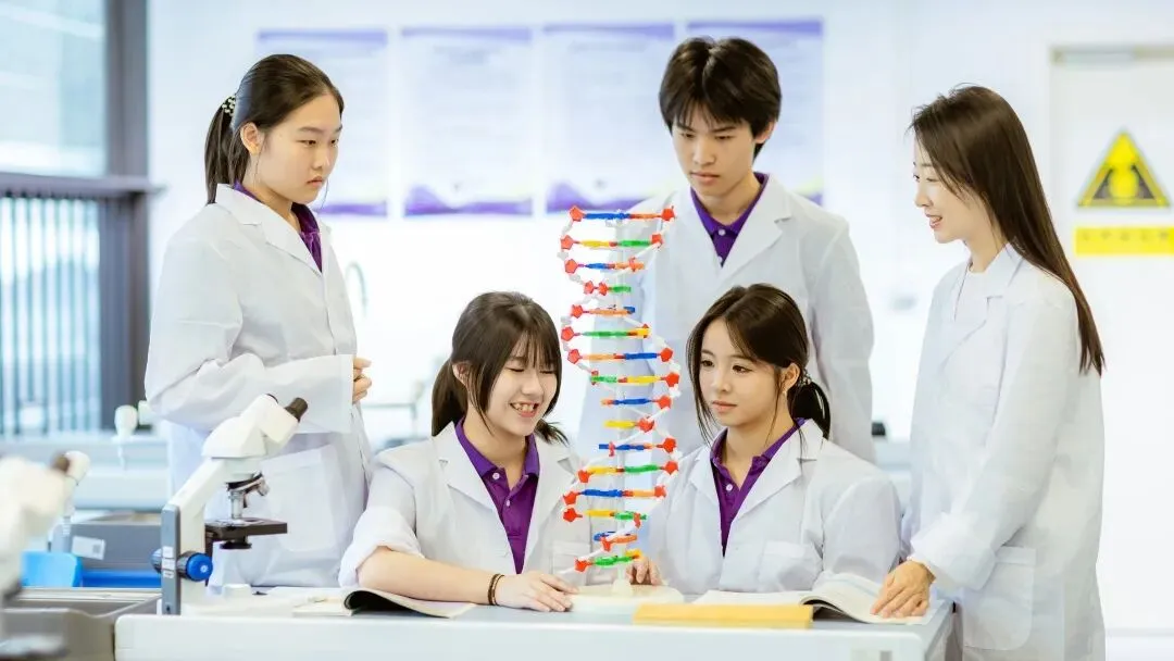 中考填志愿必看!2026梅双高中部招生热点问答! 第36张