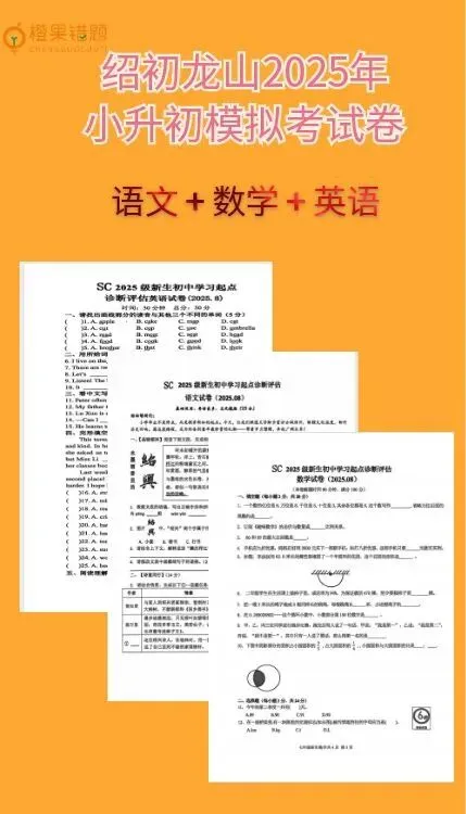 绍初龙山小升初分班试卷 第5张