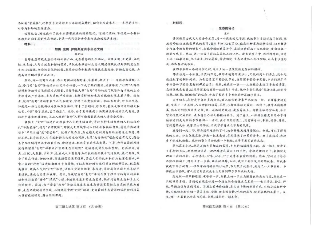 【泰安三模】泰安市2026年高三第三次模拟考试-语文 第3张
