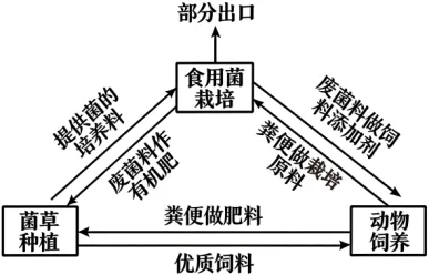 高考地理-资源环境与国家安全-高考一模真题汇编试题型答案考点分类解析练习备考二三冲刺 第8张