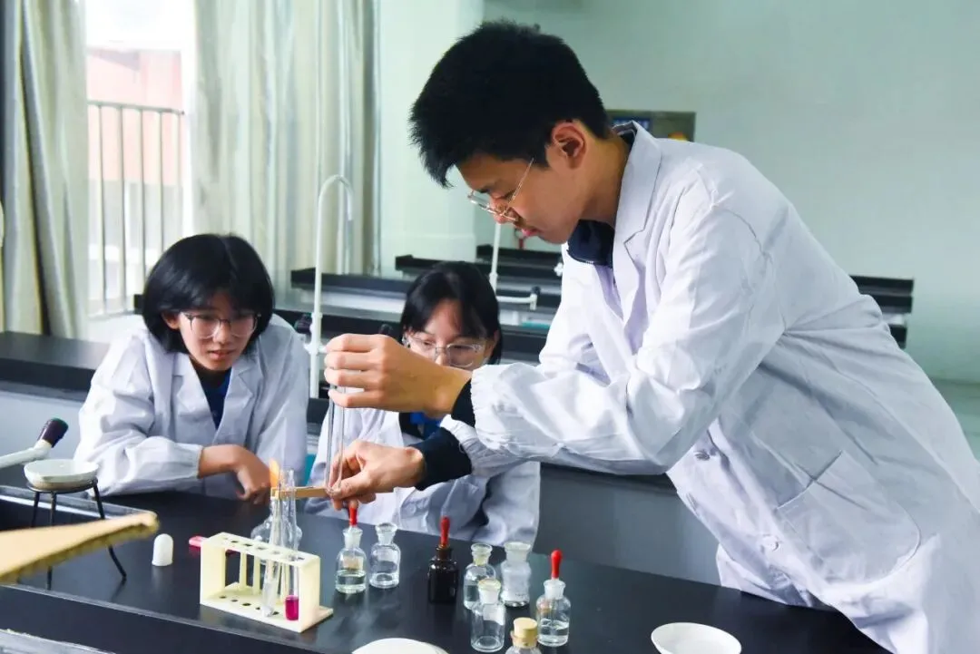中考志愿填报首选:深圳市展华实验学校,助力孩子圆梦未来! 第55张