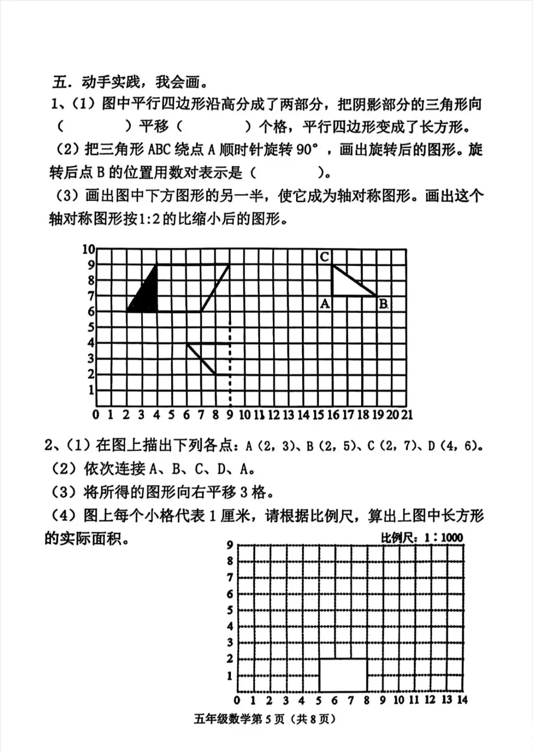 青岛版五四制五下期末试卷 第13张