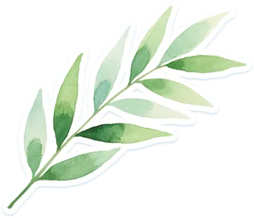 【环科城学校·毕业季】蔡宇淋:一张试卷、一丛雏菊,我在母校读懂成长. 第4张