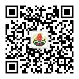 家校同心聚力,护航中考圆梦 第31张 家校同心聚力,护航中考圆梦 第31张