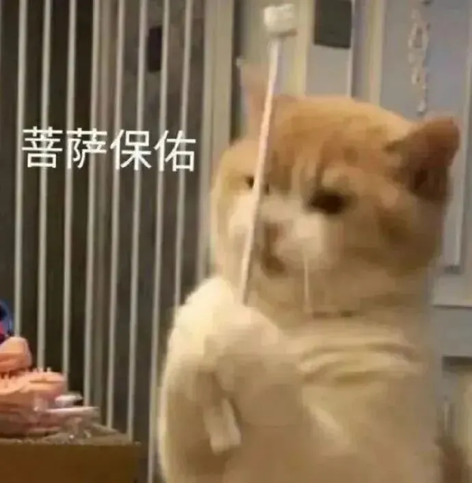 四六级写作高频句型+真题范文!快来围观!-第2张图片-四季读书网
