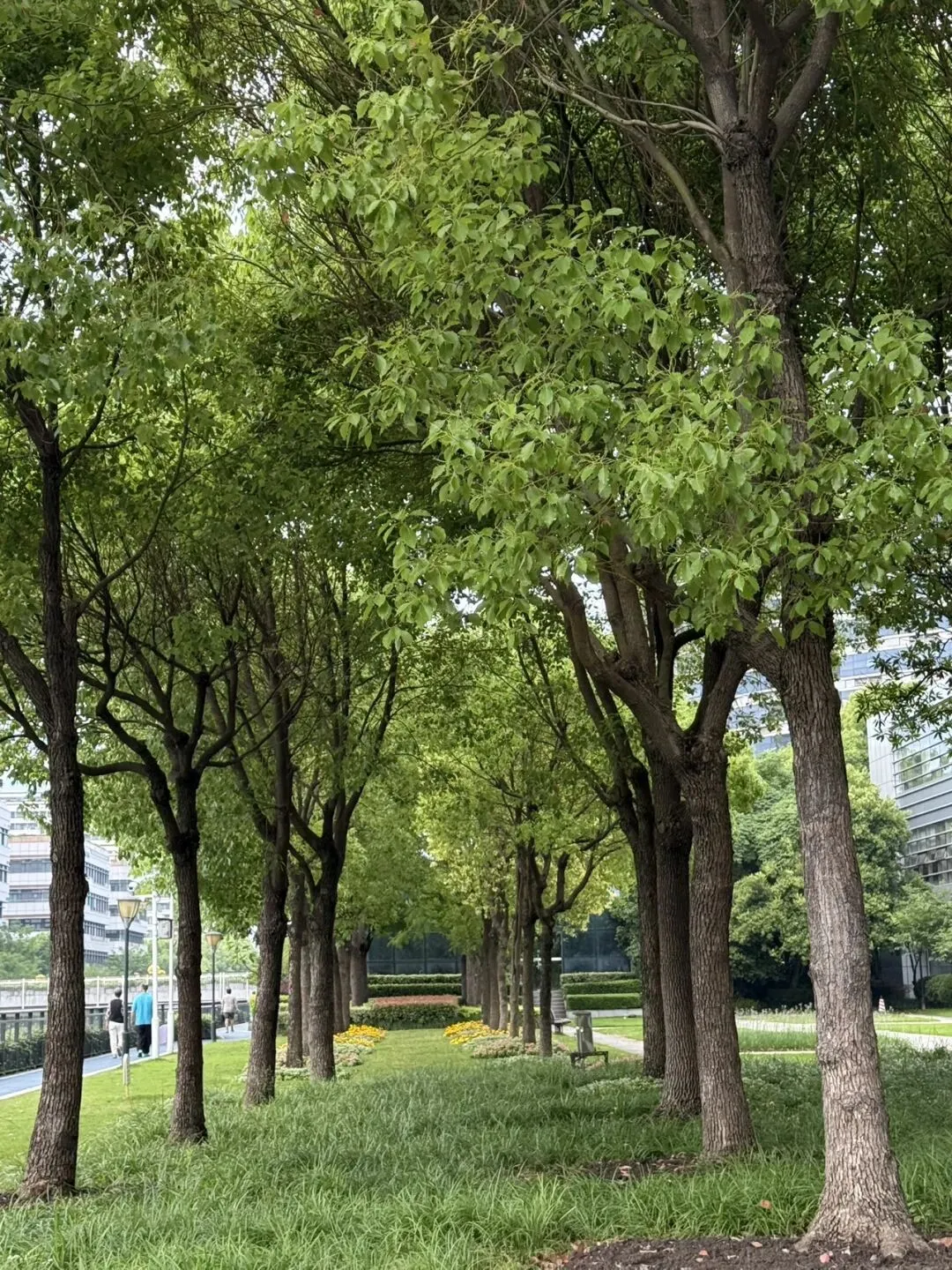 转:曹杨二中2026高三三模数学试卷及答案-第1张图片-四季读书网
