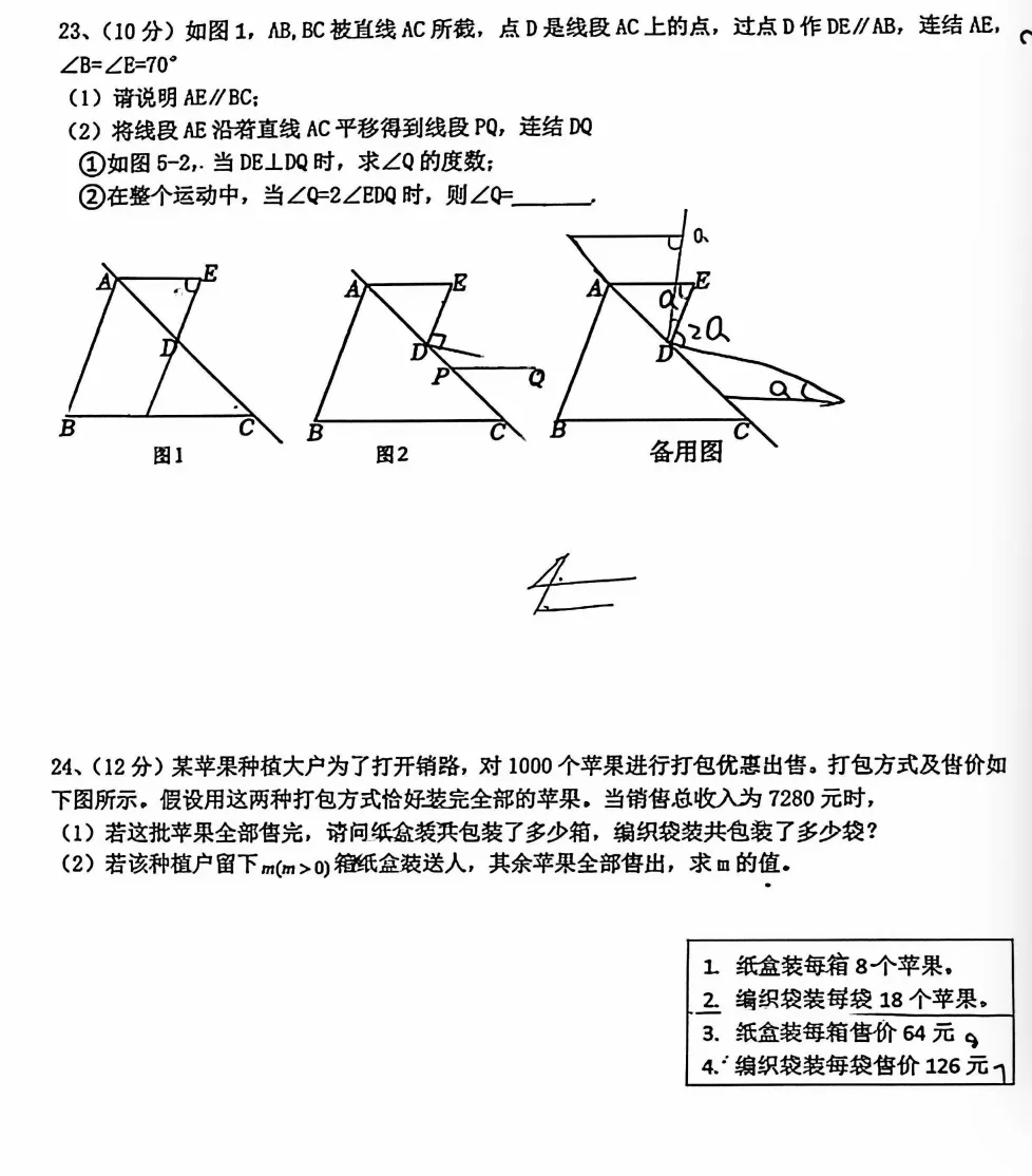 慈溪实验中学七年级5月份月测数学试卷-第4张图片-四季读书网