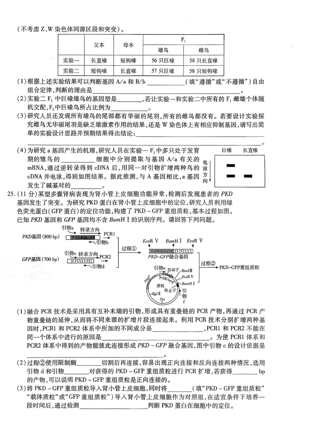 【临考预测】2026高考选择性考试生物试卷与答案【黑吉辽蒙】(可下载打印) 第8张