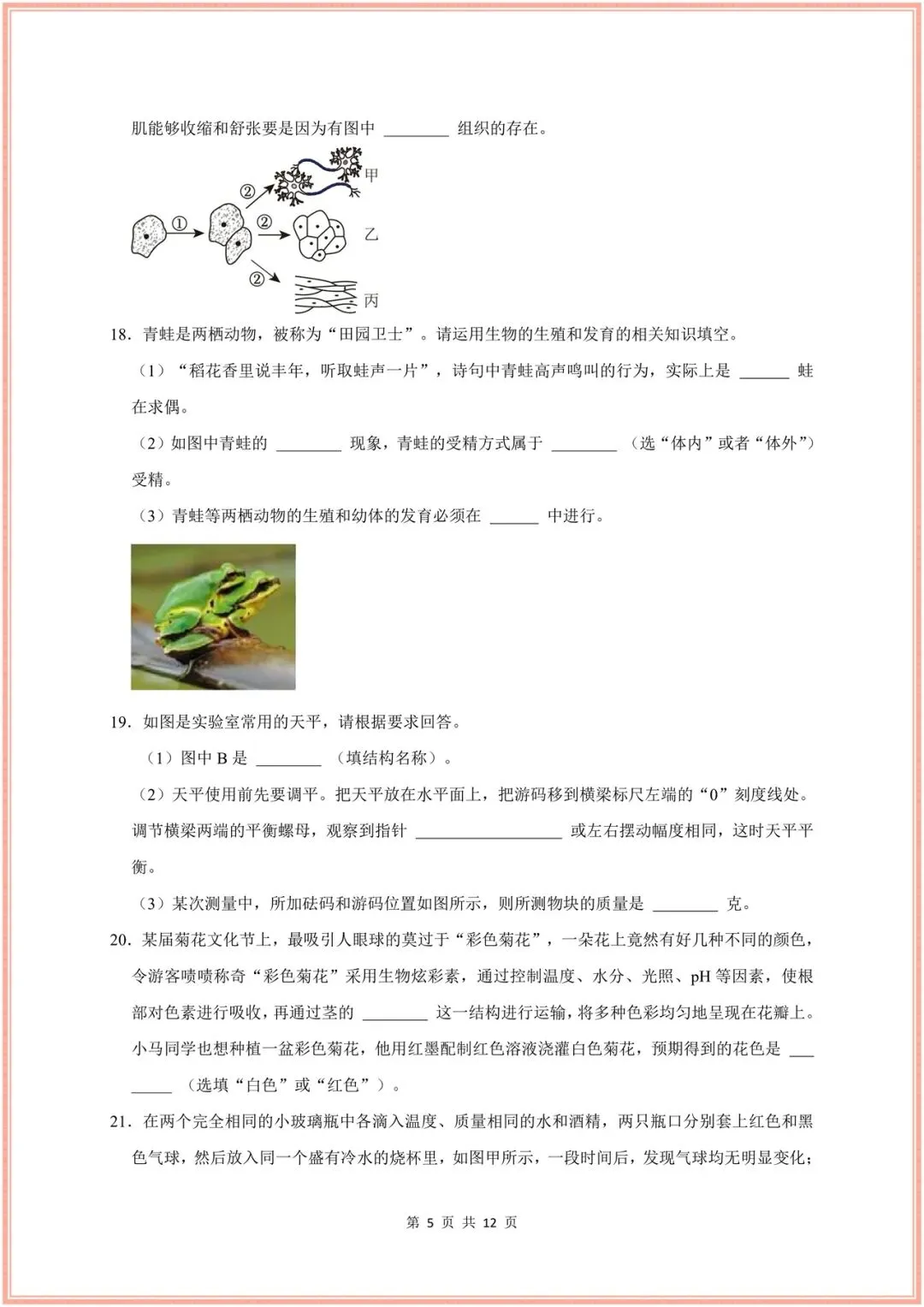 2026新(浙教版)七年级下册科学期末试卷(多套含解析)+期末复习重难题型讲练(13大题型),电子版可打印! 第20张 2026新(浙教版)七年级下册科学期末试卷(多套含解析)+期末复习重难题型讲练(13大题型),电子版可打印! 第20张