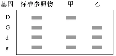 高三生物考前冲刺——电泳图谱专题(真题突破)word版 第2张