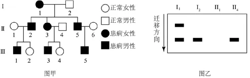 高三生物考前冲刺——电泳图谱专题(真题突破)word版 第4张