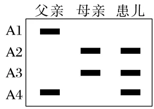 高三生物考前冲刺——电泳图谱专题(真题突破)word版 第15张