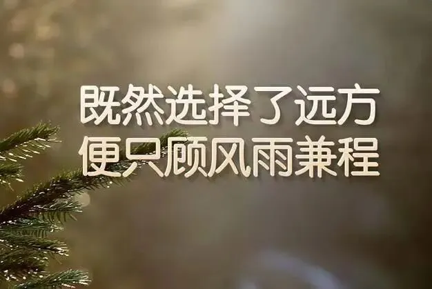 真实中考学员案例|初三逆风翻盘,普通学生的提分真相,从来不是死刷题 第3张 真实中考学员案例|初三逆风翻盘,普通学生的提分真相,从来不是死刷题 第3张