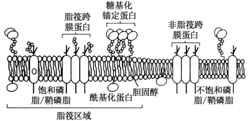 高二下期末-生物-细胞的结构基础真题汇编试卷考答案解析考点题型-第4张图片-四季读书网