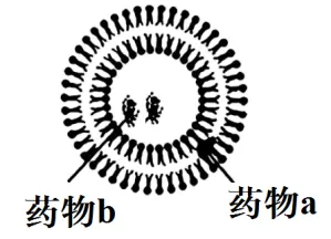 高二下期末-生物-细胞的结构基础真题汇编试卷考答案解析考点题型-第6张图片-四季读书网