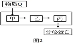 高二下期末-生物-细胞的结构基础真题汇编试卷考答案解析考点题型-第14张图片-四季读书网