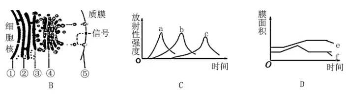 高二下期末-生物-细胞的结构基础真题汇编试卷考答案解析考点题型-第25张图片-四季读书网