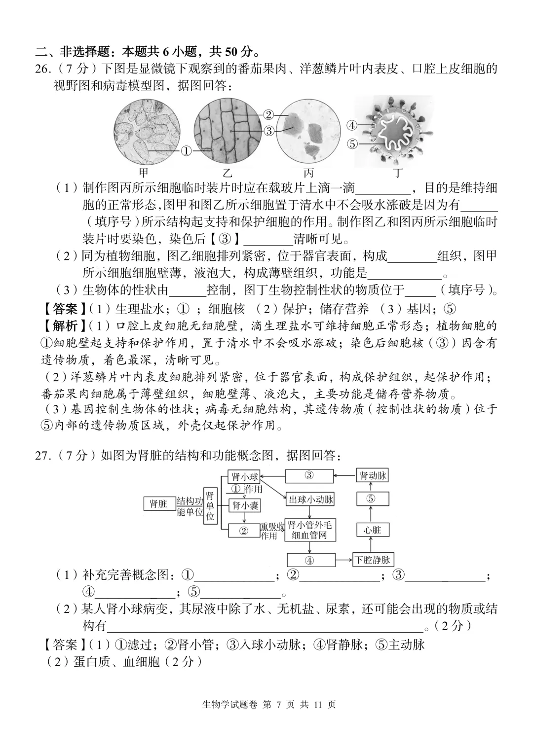 2026中考生物模拟试卷二(附答案),含金量很高!-第7张图片-四季读书网