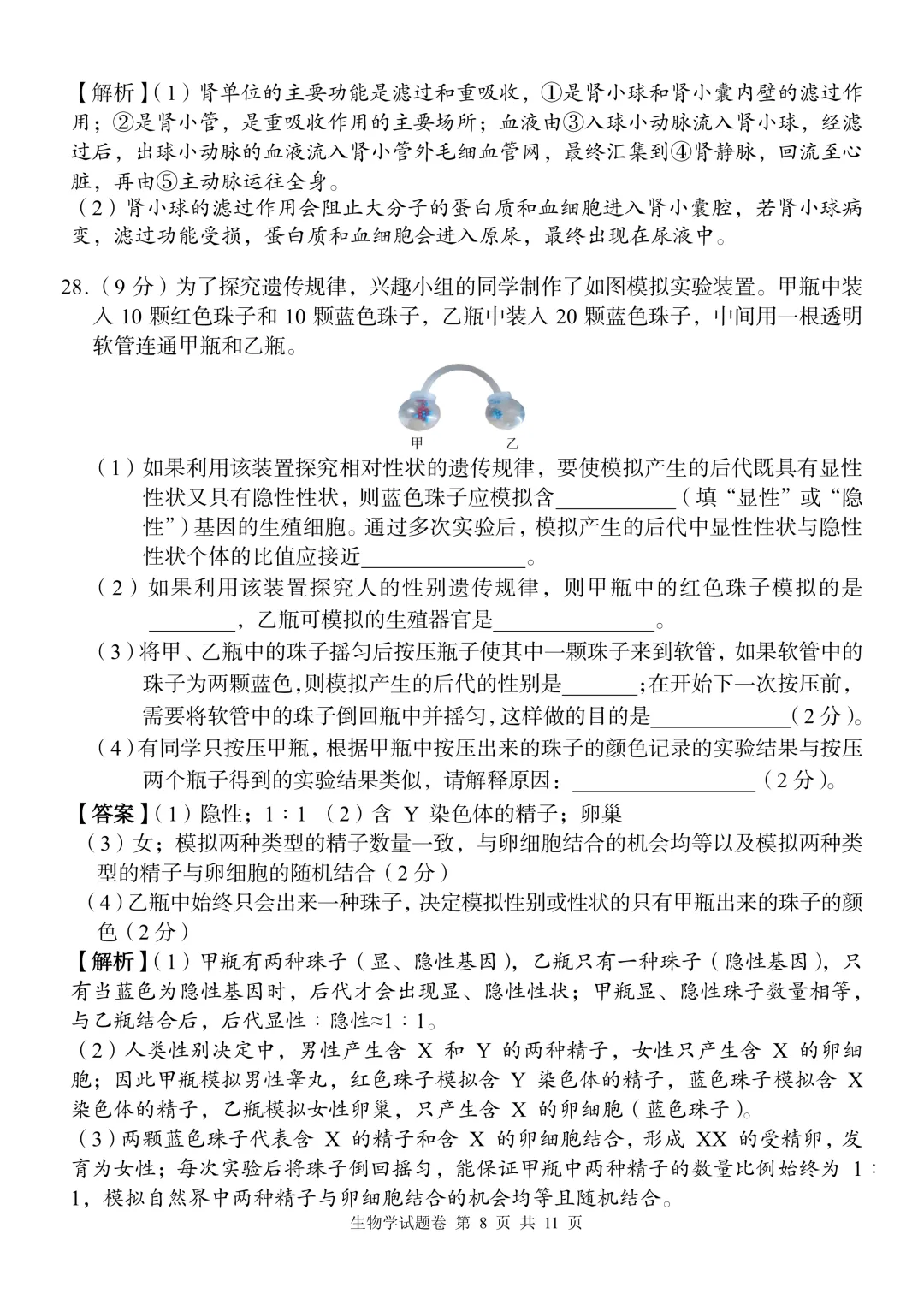 2026中考生物模拟试卷二(附答案),含金量很高!-第8张图片-四季读书网