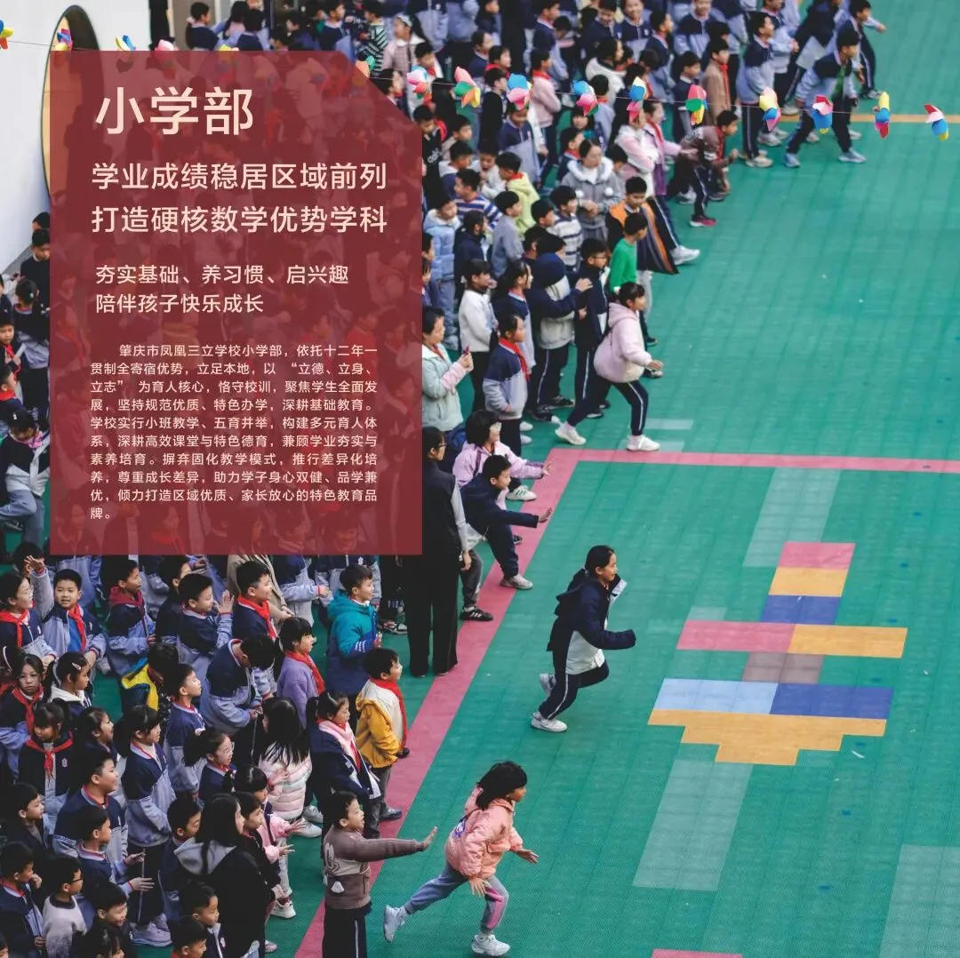 肇庆市凤凰三立学校中考志愿填报指南(附招生简章) 第16张