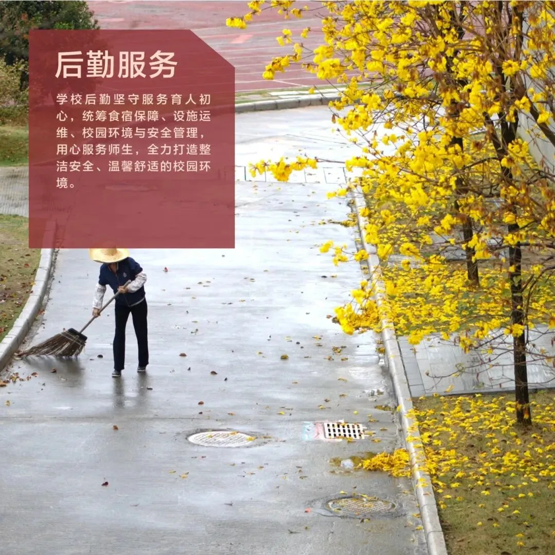 肇庆市凤凰三立学校中考志愿填报指南(附招生简章) 第32张