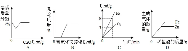 2026年中考化学考前热身训练-化学图像题 第47张