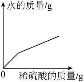 2026年中考化学考前热身训练-化学图像题 第56张