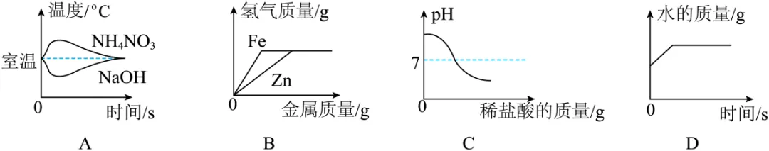 2026年中考化学考前热身训练-化学图像题 第63张