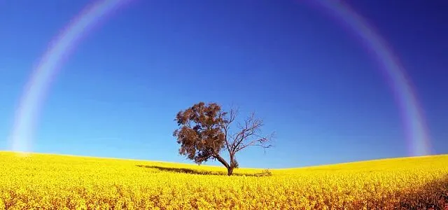 深耕模考提质精准闭环决胜——中考数学第三轮冲刺备考操作要点-第4张图片-四季读书网