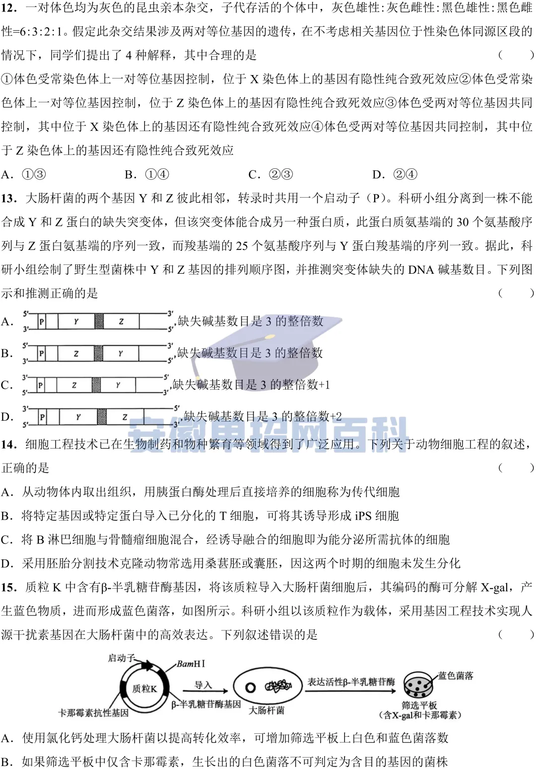 生物真题丨安徽2025年高考真题生物试卷及答案-第4张图片-四季读书网