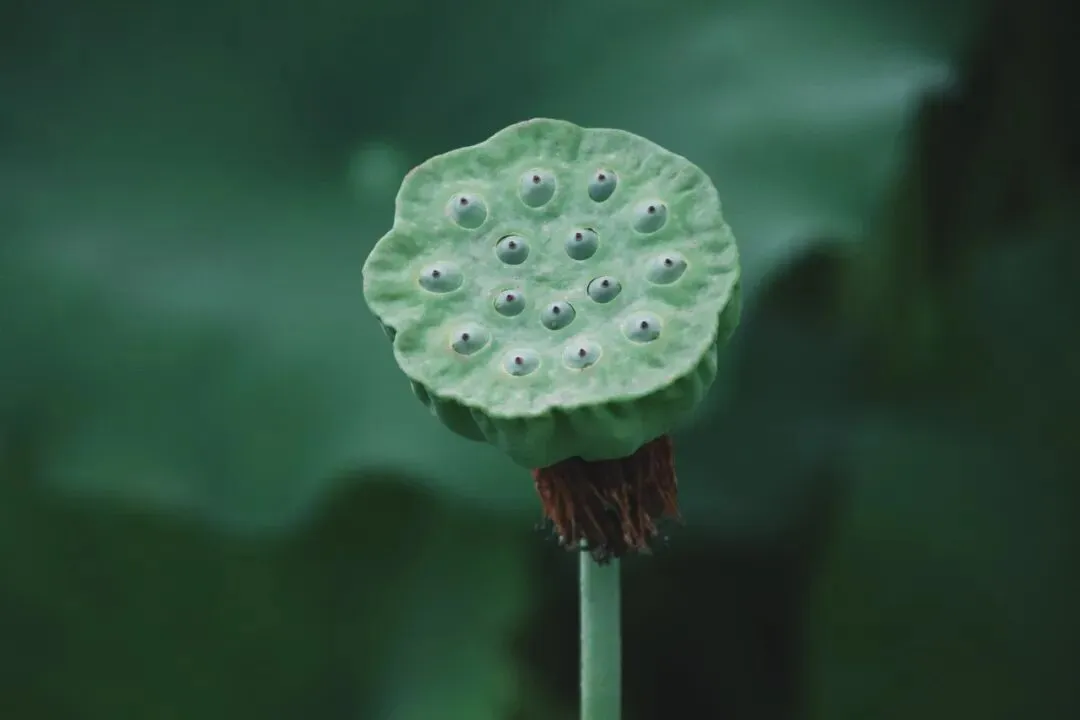 孩子要高考/中考,我比他还紧张... 第7张 孩子要高考/中考,我比他还紧张... 第7张
