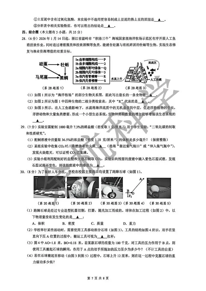 【中考模拟】浙江省“富浦桐兴”教育联盟2026年5月初中学业水平适应性科学卷 第12张