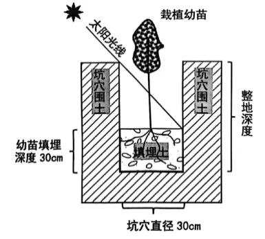 高考地理-区域可持续发展-高考一模真题汇编试题型答案考点分类解析练习备考二三冲刺 第3张 高考地理-区域可持续发展-高考一模真题汇编试题型答案考点分类解析练习备考二三冲刺 第3张