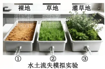 高考地理-区域可持续发展-高考一模真题汇编试题型答案考点分类解析练习备考二三冲刺 第13张 高考地理-区域可持续发展-高考一模真题汇编试题型答案考点分类解析练习备考二三冲刺 第13张