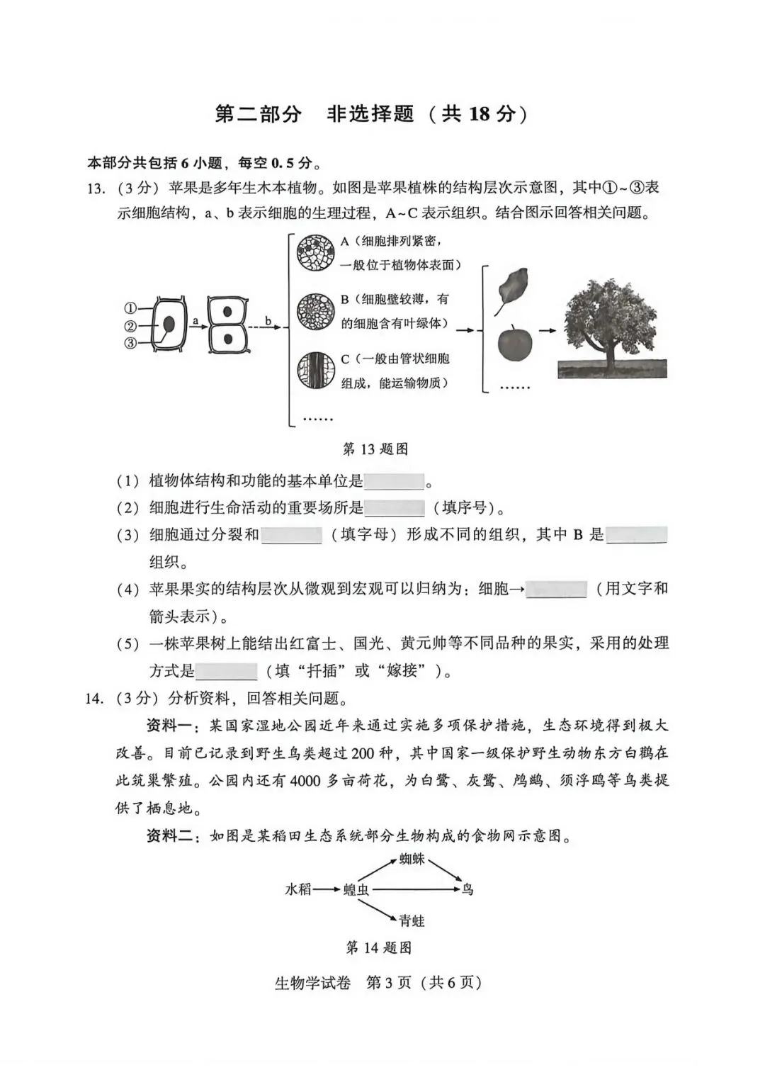 2026年沈阳市八年级【二模生物】试卷 第5张
